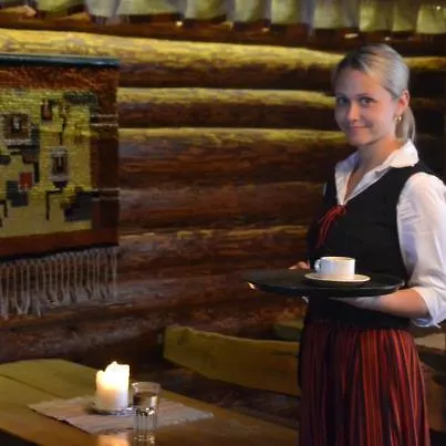 Orilammen Maja Ja Lomakeskus Gasthuis Hillosensalmi